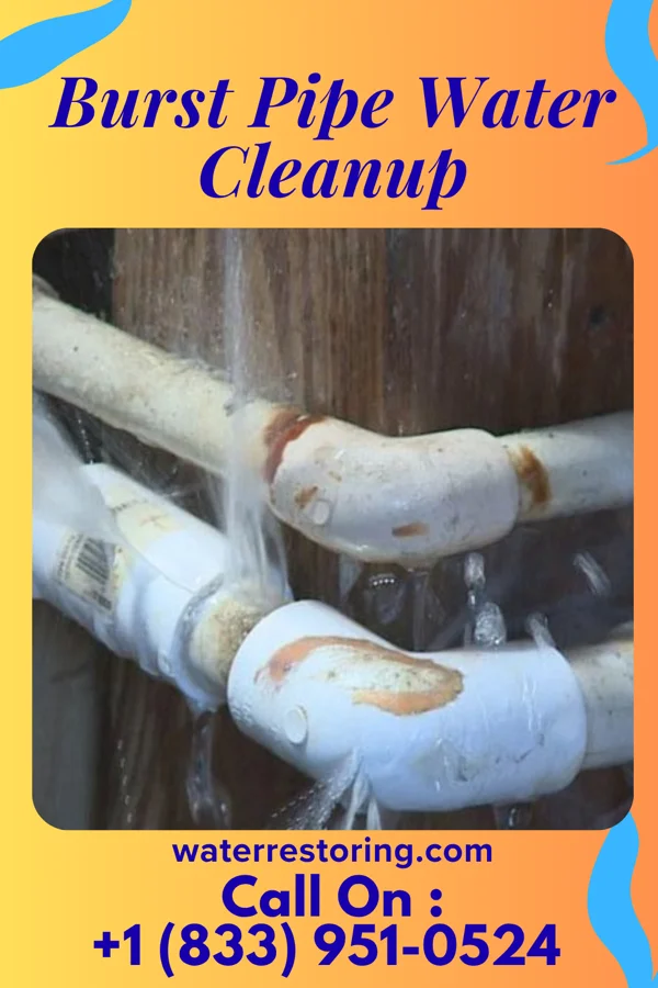 Burst Pipe Water Cleanup in Thompsontown, PA