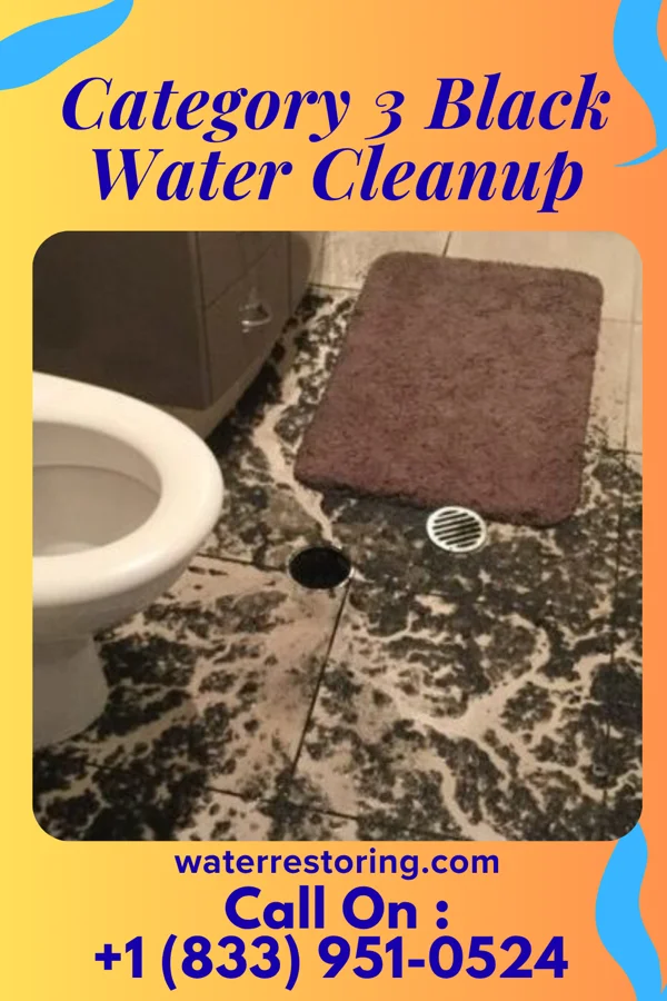 Category 3 Black Water Cleanup in Thompsontown, PA