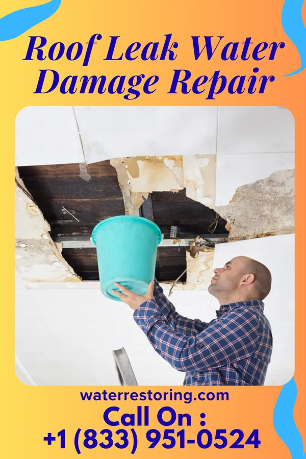 Roof Leak Water Damage Repair in Thompsontown, PA