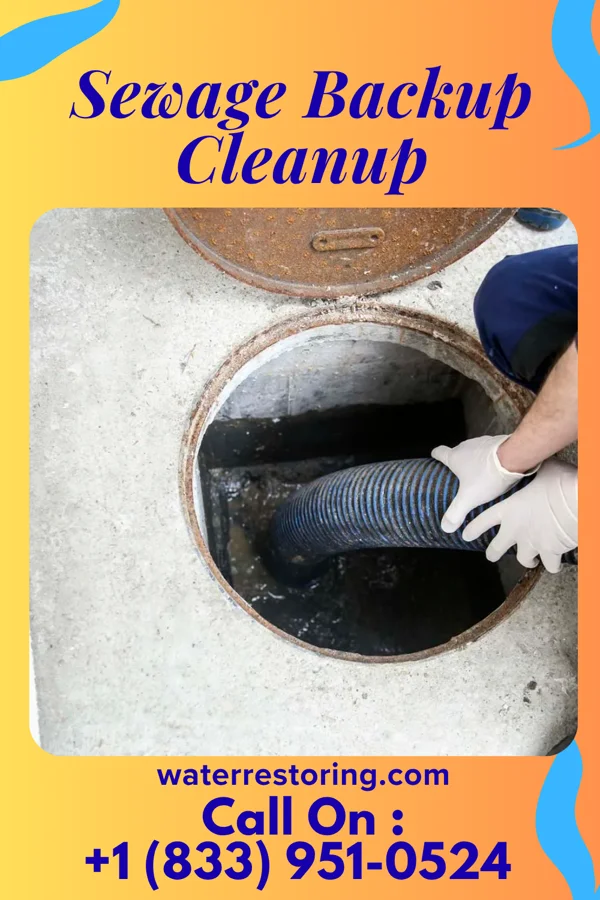 Sewage Backup Cleanup in Thompsontown, PA