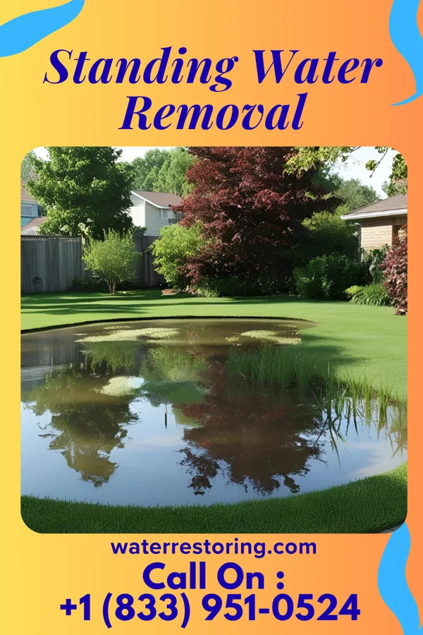 Standing Water Removal in Thompsontown, PA